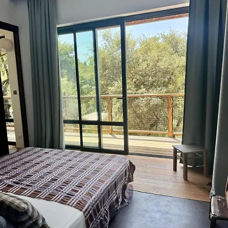 Japanese-style Wooden House Near Uzes With Pool And Beautiful View * Saint-Siffret