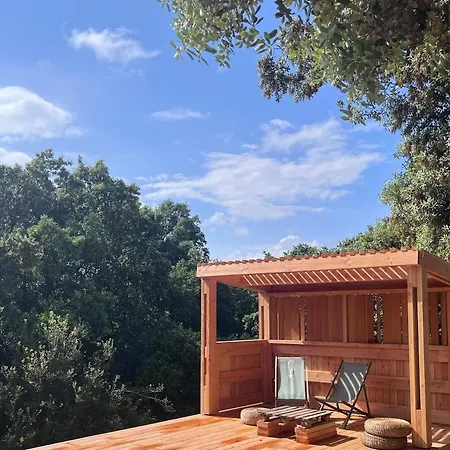 Japanese-style Wooden House Near Uzes With Pool And Beautiful View